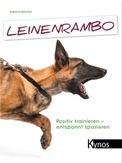 Leinenrambo, Sabrina Reichel - Ebook - 9783954640409