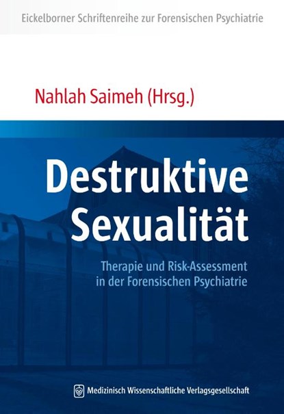 Destruktive Sexualität, Nahlah Saimeh - Paperback - 9783954664139