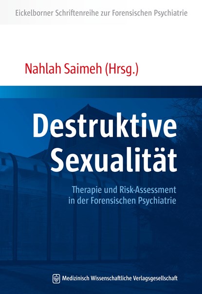 Destruktive Sexualität, Nahlah Saimeh - Paperback - 9783954664139