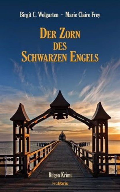 Der Zorn des schwarzen Engels, Birgit C. Wolgarten ; Marie Claire Frey - Ebook - 9783954750948