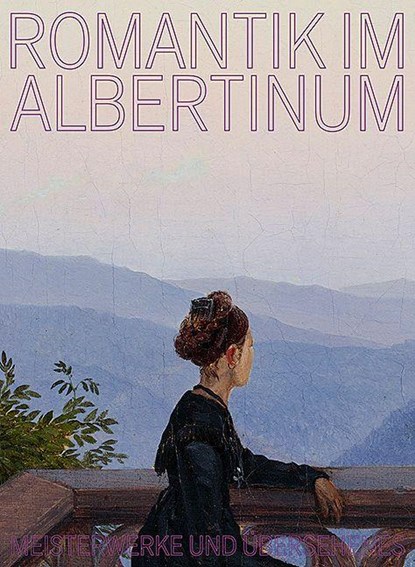 Romantik im Albertinum, Holger Birkholz ; Katja Paul ; Hilke Wagner - Gebonden - 9783954989058