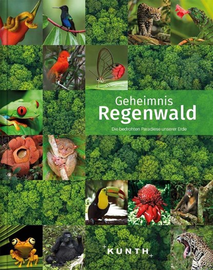 KUNTH Bildband Geheimnis Regenwald, Kunth Verlag - Gebonden - 9783955049478