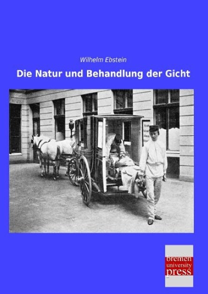 Die Natur und Behandlung der Gicht, Wilhelm Ebstein - Paperback - 9783955629052