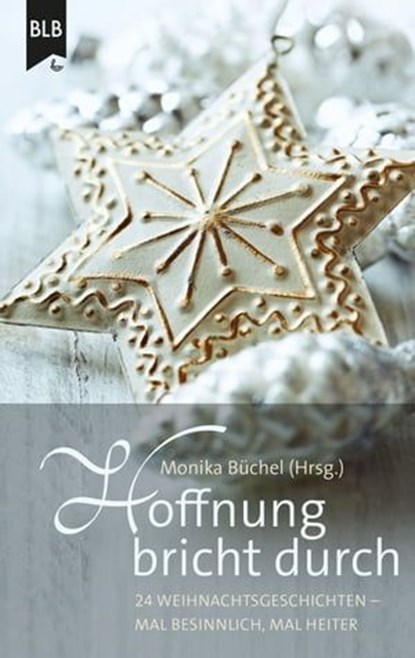 Hoffnung bricht durch, Anneli Klipphahn ; Hannelore Schnapp ; Monika Büchel ; Ursula Schröder ; Elisabeth Büchle ; Simone Schächterle ; Marion Rademacher ; Ralf Mühe ; Susanne Koch ; Marlis Büsching ; Susanne Hornfischer ; Michael Jahnke ; Bibellesebund - Ebook - 9783955684075
