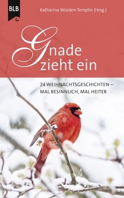 Gnade zieht ein, Katharina Würden-Templin ; Ursula Schröder ; Oliver Helmers ; Anneli Klipphahn ; Iris Voß ; Elisabeth Büchle ; Dr. Jochen Bohne ; Alexander Vogt ; Hannelore Schnapp ; Christiane Booker ; Stefanie Schieber ; Sigrid Offermann ; Sr. Ruth Ruppert ; Karl-Heinz - Ebook - 9783955684709