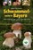 Schwammerlsuche in Bayern, GRIESBACHER,  Norbert - Paperback - 9783955877392