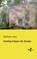 Funfzig Fabeln fur Kinder, Wilhelm Hey - Paperback - 9783956109126
