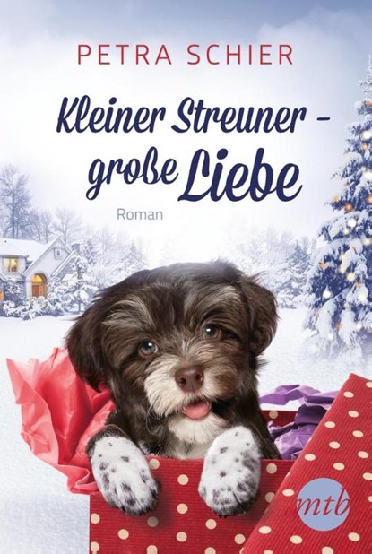 Kleiner Streuner - große Liebe, Petra Schier - Paperback - 9783956497513