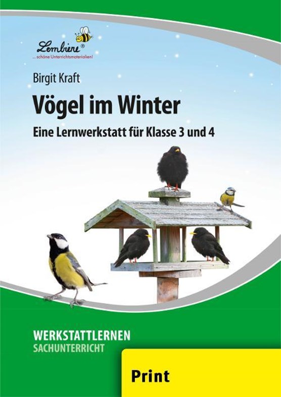 Vögel im Winter (PR)