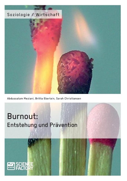 Burnout, Abdussalam Meziani ; Britta Eberlein ; Sarah Christiansen - Paperback - 9783956871092