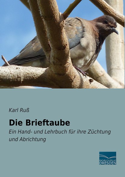 Die Brieftaube, Karl Ruß - Paperback - 9783956926938