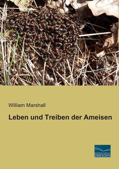 Leben und Treiben der Ameisen, William Marshall - Paperback - 9783956927188