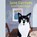 Gute Ratschläge, Jane Gardam - AVM - 9783957133168