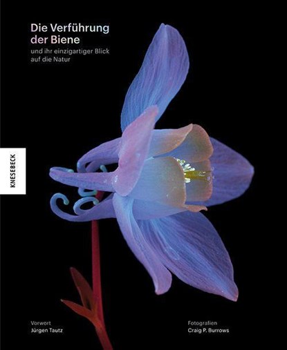 Die Verführung der Biene, Craig P. Burrows - Gebonden - 9783957288059