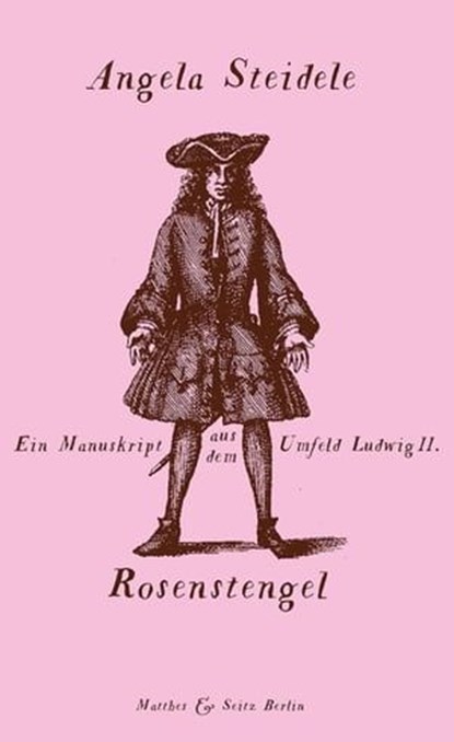 Rosenstengel, Angela Steidele - Ebook - 9783957571953