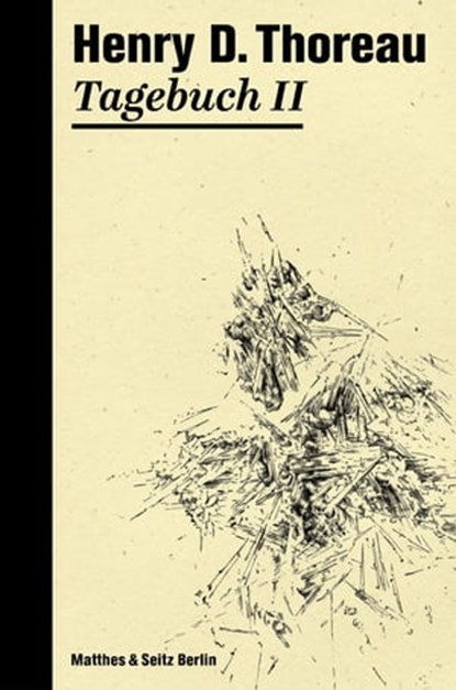 Tagebuch II, Henry David Thoreau ; Dieter Schulz - Ebook - 9783957574336