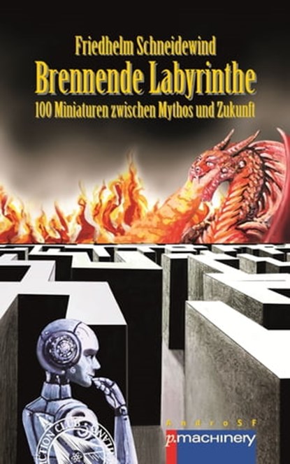 BRENNENDE LABYRINTHE, Friedhelm Schneidewind - Ebook - 9783957657794