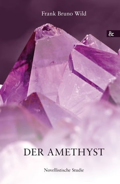 Der Amethyst, Frank Bruno Wild - Ebook - 9783957801333