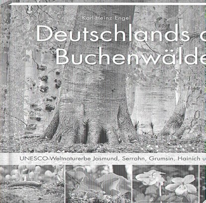 Deutschlands alte Buchenwälder, Karl Heinz Engel - Gebonden - 9783957990105