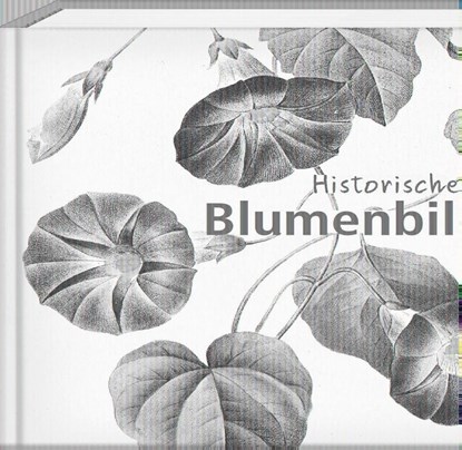 Historische Blumenbilder - Book To Go, niet bekend - Gebonden - 9783957990631