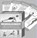 Trainingskarten: Beweglichkeit, Ronald Thomschke - Paperback - 9783957990921