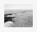 Robert Adams: From the Missouri West, Robert Adams - Gebonden - 9783958291683