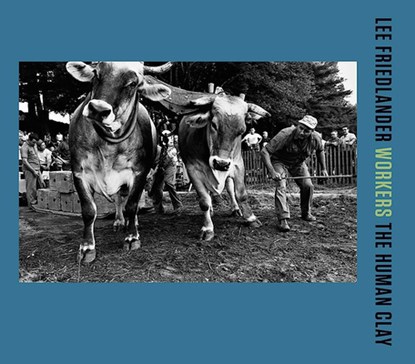 Lee Friedlander: Workers, Lee Friedlander ; Katy Homans - Gebonden Gebonden - 9783958295001