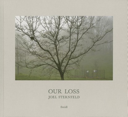 Joel Sternfeld: Our Loss, Joel Sternfeld ; Holger Feroudj ; Steidl Design - Gebonden - 9783958296589