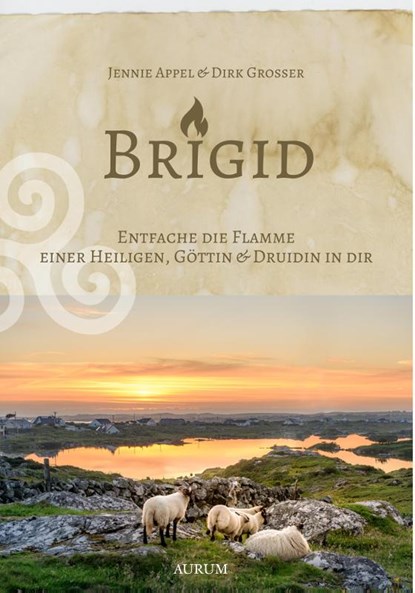 Brigid, Dirk Grosser ; Jennie Appel - Paperback - 9783958836501
