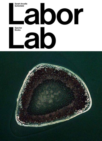 Sarah Ancelle Schönfeld: Labor Lab, Esther Leslie ; Margarida Mendes ; Jeannie Moser ; Heiko Stoff - Paperback - 9783959059725