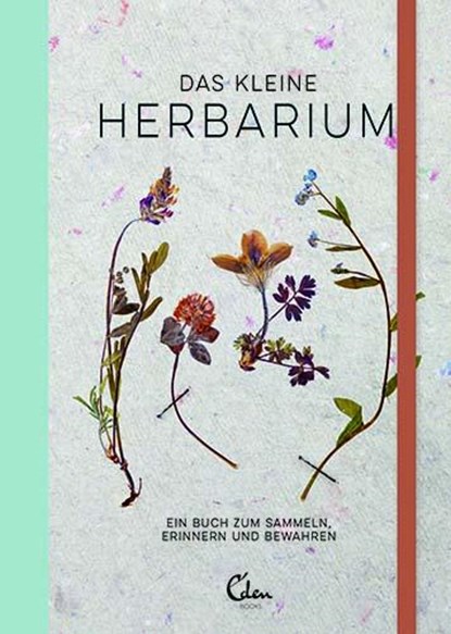 Das kleine Herbarium, Saskia de Valk ; Maartje van den Noort - Paperback - 9783959100403