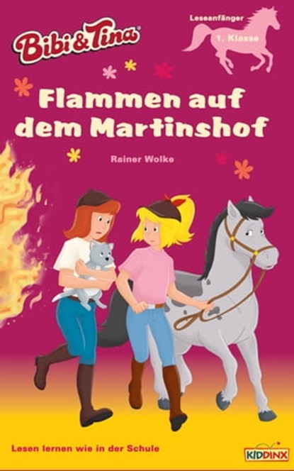 Bibi & Tina - Flammen auf dem Martinshof, Rainer Wolke - Ebook - 9783959182522