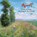 Claude Monet - A Walk in the Country 2027, niet bekend - Paperback - 9783959296793