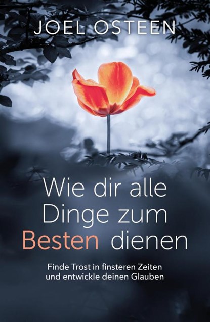 Wie dir alle Dinge zum Besten dienen, Joel Osteen - Paperback - 9783959331548