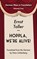 Hoppla, We're Alive, Ernst Toller - Paperback - 9783960260424