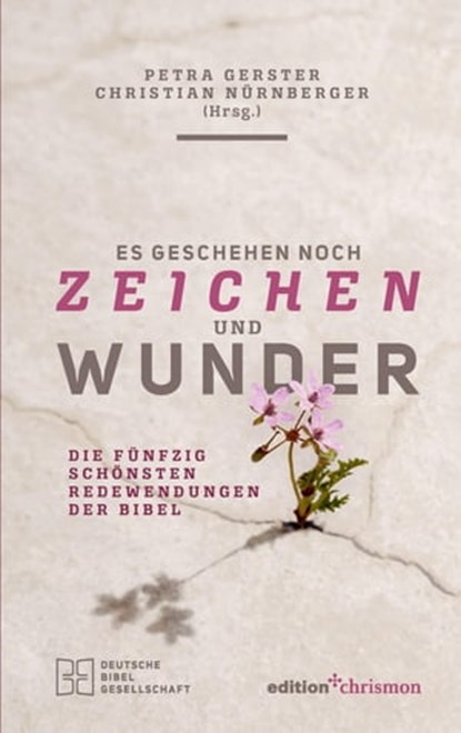 Es geschehen noch Zeichen und Wunder, niet bekend - Ebook - 9783960381969