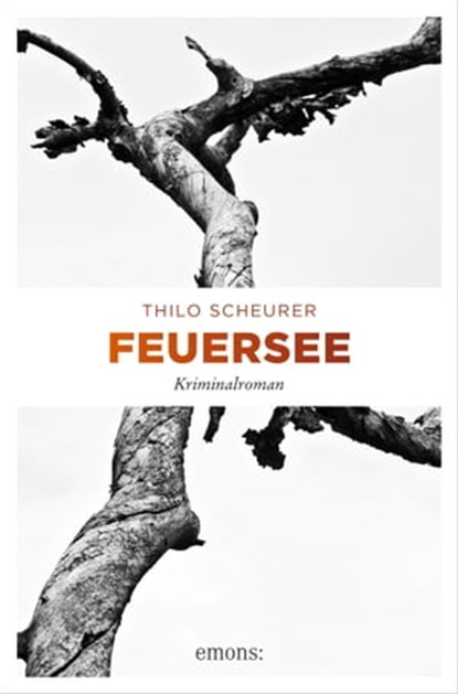 Feuersee, Thilo Scheurer - Ebook - 9783960415596