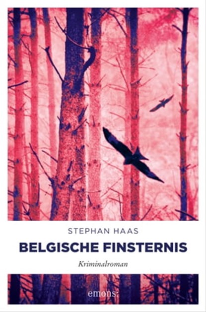Belgische Finsternis, Stephan Haas - Ebook - 9783960416487