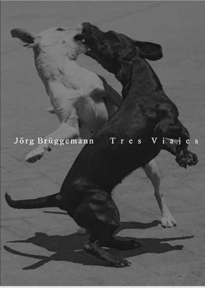 Jörg Brüggemann | Tres Viajes, Jörg Brüggemann - Gebonden - 9783960701385