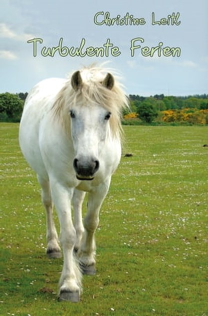 Partnerschaft lernen, Zivit Abramson - Ebook - 9783960742265