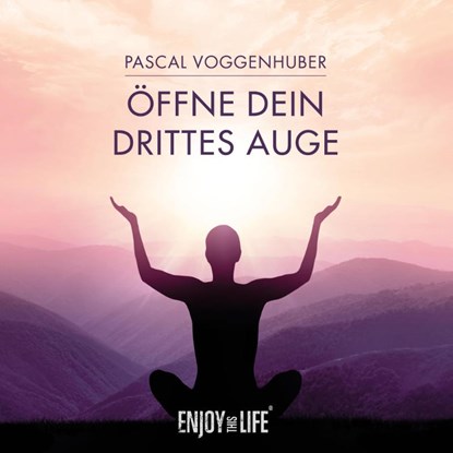 Öffne Dein drittes Auge, Pascal Voggenhuber - AVM - 9783961110001