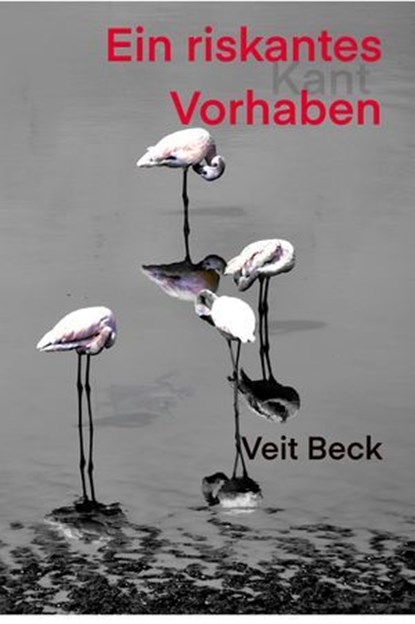 Ein riskantes Vorhaben, Veit Beck - Ebook - 9783961369898