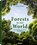 Forests in our World, WILLINGER,  Gunther - Gebonden - 9783961712182