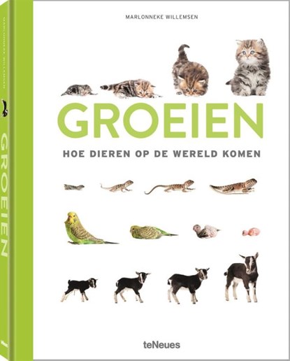 Groeien, Marlonneke Willemsen - Gebonden - 9783961713424