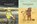 Regenland + Trockenland, Michael Engler - Gebonden - 9783961855261