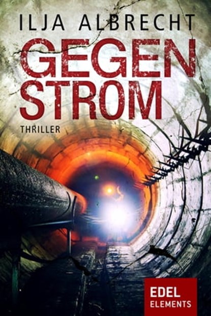 Gegenstrom, Ilja Albrecht - Ebook - 9783962152536