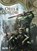 Orks & Goblins. Band 6, Olivier Peru - Gebonden - 9783962194482
