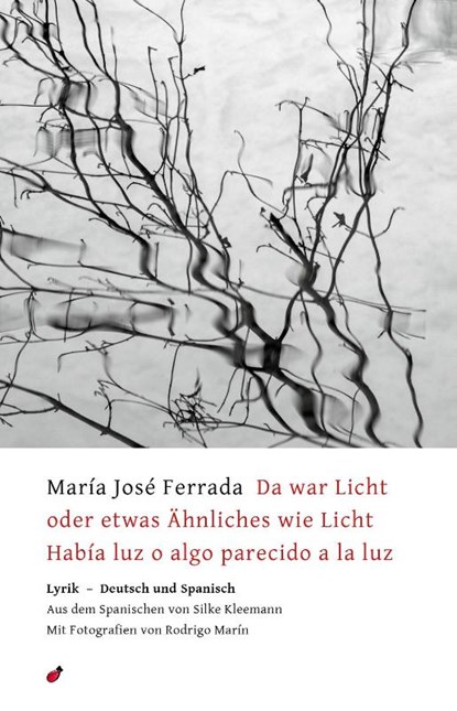 Da war Licht oder etwas Ähnliches wie Licht / Había luz o algo parecido a la luz, María José Ferrada - Paperback - 9783962520199