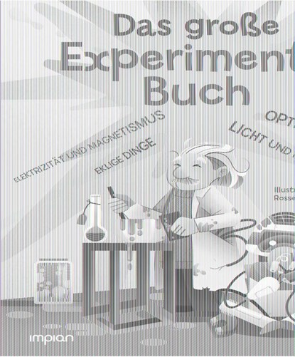 Das große Experimente-Buch, Matteo Crivellini - Gebonden - 9783962691172