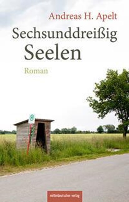 Sechsunddreißig Seelen, Andreas H. Apelt - Gebonden - 9783963119163